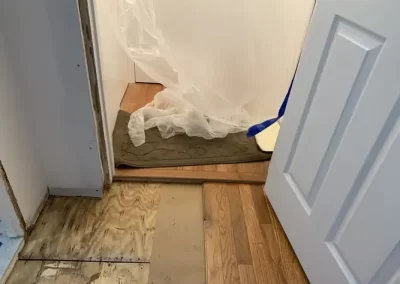 Remodeler (10)